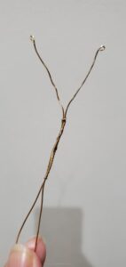 蝶々本体試作品